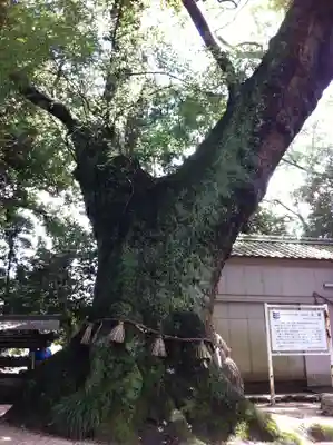 神明社(三重県)