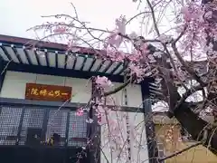 天暁山　一行院(東京都)