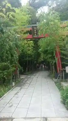 來宮神社の鳥居