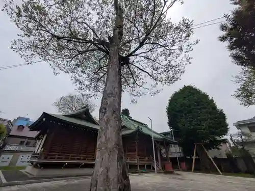 岩淵八雲神社(東京都)