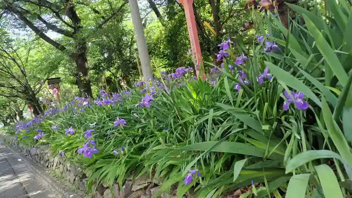 平野神社(京都府)