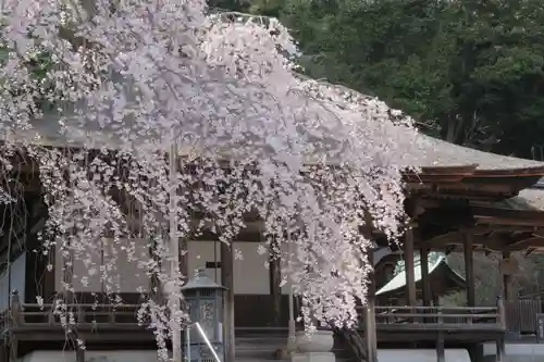 金剛寺(大阪府)