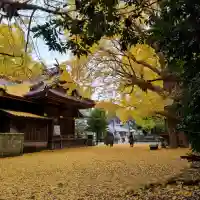 玉敷神社(埼玉県)