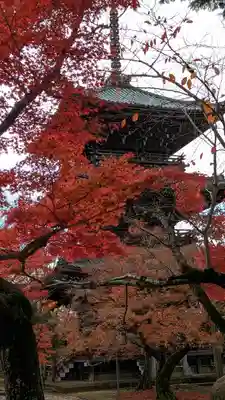 真正極楽寺(真如堂)(京都府)
