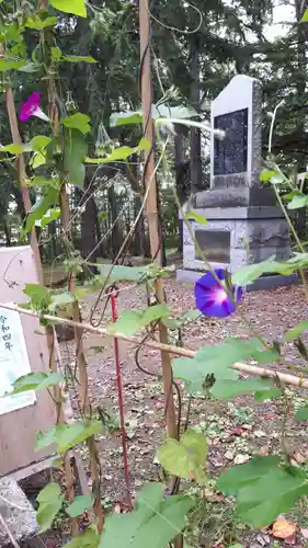 雨紛神社の庭園