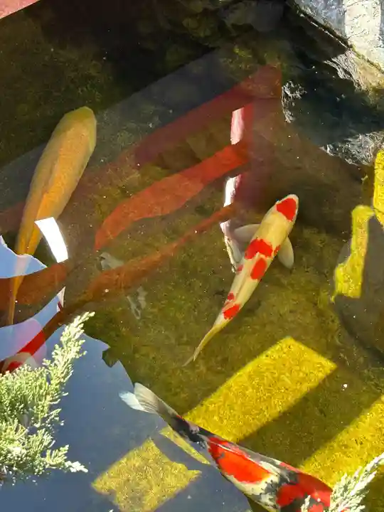 蛇窪神社(東京都)