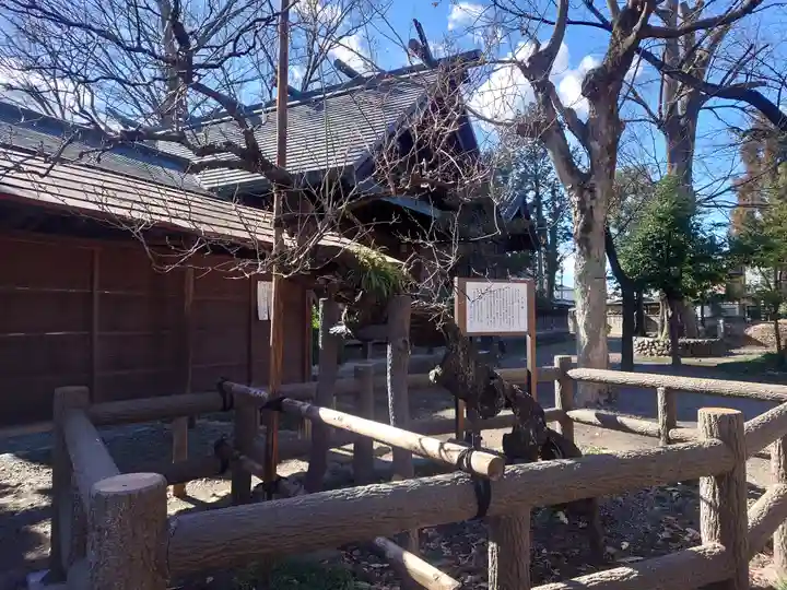 廣瀬神社(埼玉県)