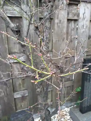 幸町辨財天(千葉県)