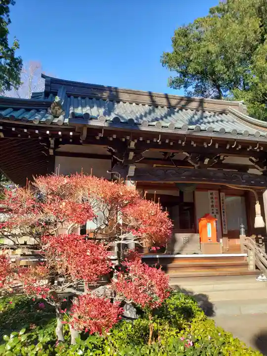 妙法寺(東京都)