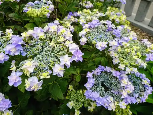 埼玉厄除け開運大師・龍泉寺（切り絵御朱印発祥の寺）の自然