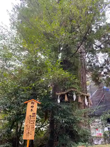 香取神宮(千葉県)