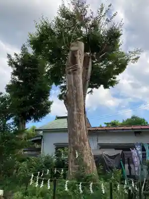 春日神社(神奈川県)