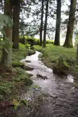 熊野神社の自然