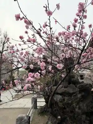 素盞雄神社の{uncategorized: "未分類", other: "その他", undefined: "問題あり", building: "その他建物", grave: "お墓", sacred_gate: "鳥居", guardian: "狛犬", statue: "像", buddha: "仏像", history: "歴史", nature: "自然", garden: "庭園", animal: "動物", pagoda: "塔", temizu: "手水舎", mountain_gate: "山門・神門", sanctuary: "本殿・本堂", subordinate: "末社・摂社", art: "芸術", scenery: "景色", jizo: "地蔵", ema: "絵馬", goshuin: "御朱印", omikuji: "おみくじ", items: "授与品その他", amulet: "お守り", goshuincho: "御朱印帳", eats: "食事", festival: "お祭り", votive_dance: "神楽", shichigosan: "七五三参", wedding: "結婚式", experience: "体験その他", initially: "初詣", around: "周辺", anti_infection: "感染症対策"}
