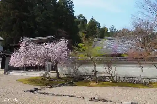 神護寺(京都府)