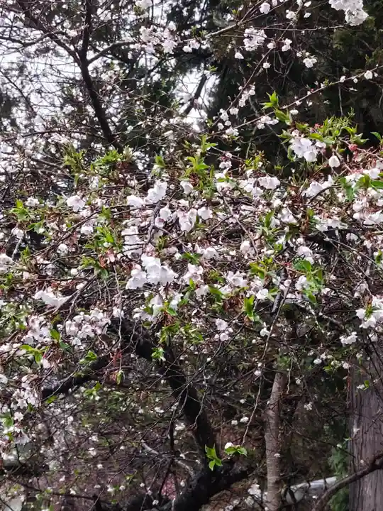 鹿島大神宮(福島県)