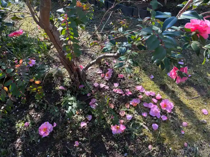 瑞泉寺の{uncategorized: "未分類", other: "その他", undefined: "問題あり", building: "その他建物", grave: "お墓", sacred_gate: "鳥居", guardian: "狛犬", statue: "像", buddha: "仏像", history: "歴史", nature: "自然", garden: "庭園", animal: "動物", pagoda: "塔", temizu: "手水舎", mountain_gate: "山門・神門", sanctuary: "本殿・本堂", subordinate: "末社・摂社", art: "芸術", scenery: "景色", jizo: "地蔵", ema: "絵馬", goshuin: "御朱印", omikuji: "おみくじ", items: "授与品その他", amulet: "お守り", goshuincho: "御朱印帳", eats: "食事", festival: "お祭り", votive_dance: "神楽", shichigosan: "七五三参", wedding: "結婚式", experience: "体験その他", initially: "初詣", around: "周辺", anti_infection: "感染症対策"}