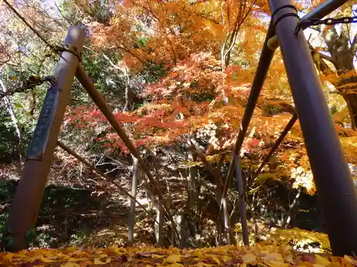 行道山 浄因寺(栃木県)