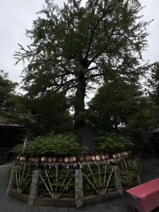 七社神社(東京都)