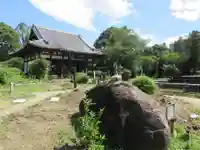 般若寺 ❁コスモス寺❁(奈良県)