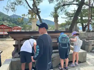 厳島神社の手水舎