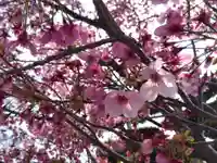 祇園山 徳城寺(愛知県)