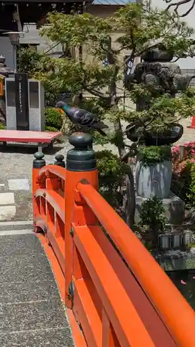 神泉苑のその他建物