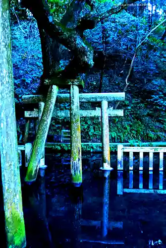 奥宮(鹿島神宮摂社)(茨城県)