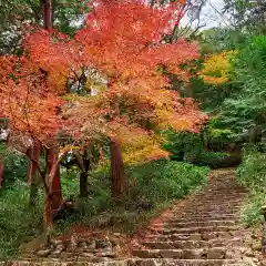 財賀寺の自然