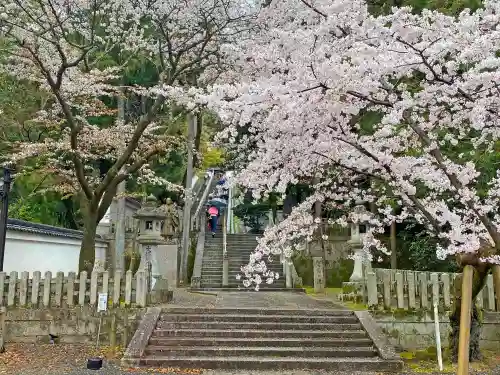 知恩院の庭園