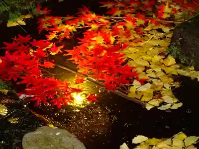 長谷寺のその他建物