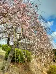 成道寺(和歌山県)