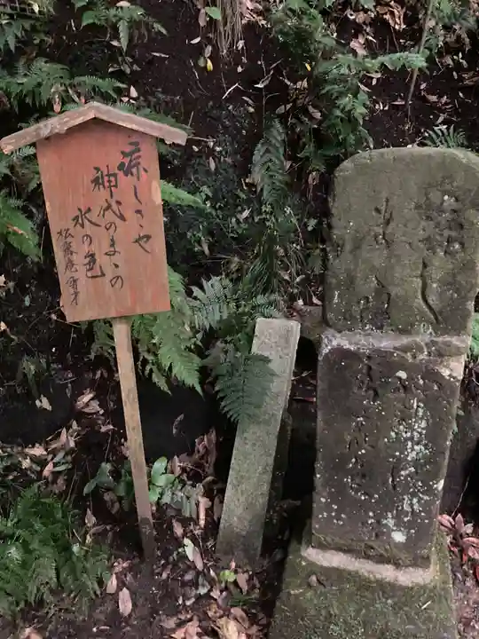 鹿島神宮(茨城県)