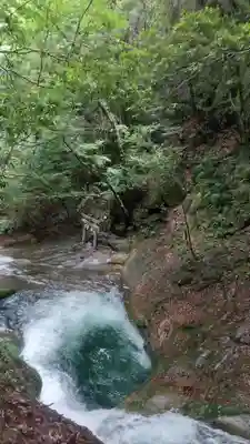 龍鎮神社の自然