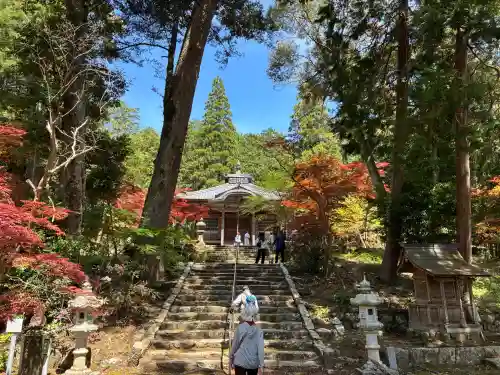 天台宗 五大山 白毫寺の{uncategorized: "未分類", other: "その他", undefined: "問題あり", building: "その他建物", grave: "お墓", sacred_gate: "鳥居", guardian: "狛犬", statue: "像", buddha: "仏像", history: "歴史", nature: "自然", garden: "庭園", animal: "動物", pagoda: "塔", temizu: "手水舎", mountain_gate: "山門・神門", sanctuary: "本殿・本堂", subordinate: "末社・摂社", art: "芸術", scenery: "景色", jizo: "地蔵", ema: "絵馬", goshuin: "御朱印", omikuji: "おみくじ", items: "授与品その他", amulet: "お守り", goshuincho: "御朱印帳", eats: "食事", festival: "お祭り", votive_dance: "神楽", shichigosan: "七五三参", wedding: "結婚式", experience: "体験その他", initially: "初詣", around: "周辺", anti_infection: "感染症対策"}