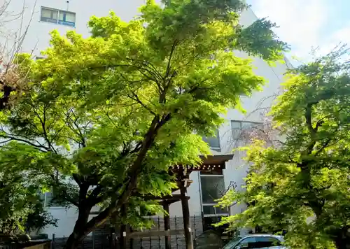 聖輪寺(東京都)