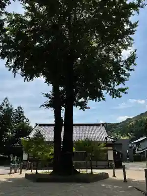 足助八幡宮(愛知県)