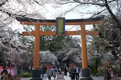 平野神社の鳥居