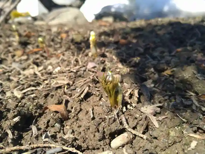 雨竜 専福寺の自然