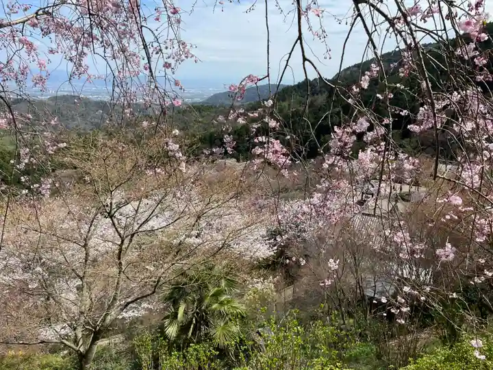 善峯寺(京都府)