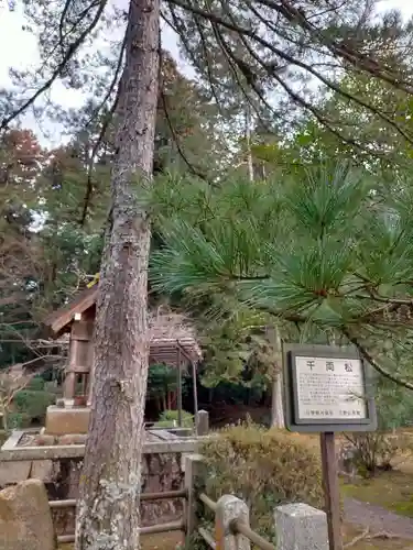 馬見岡綿向神社の自然