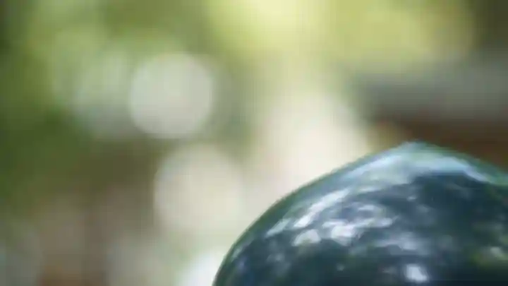 大神神社(奈良県)