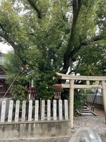 金岡神社の自然