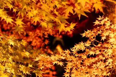 北野天満宮(京都府)