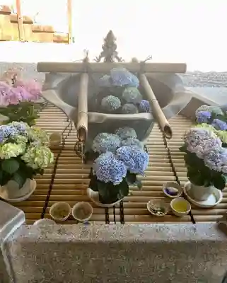 長谷寺の手水舎