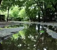 三津厳島神社の自然
