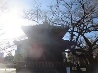 吉祥寺(東京都)