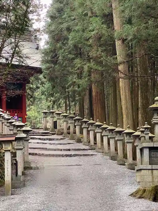 三峯神社(埼玉県)