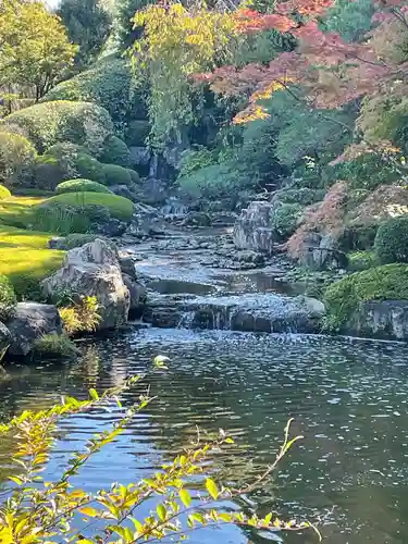 退蔵院(京都府)