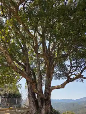 サムハラ神社 奥の宮(岡山県)